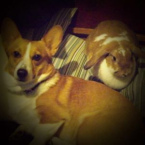 Meet your Posher, Tracie